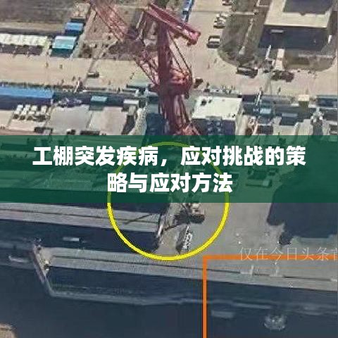 工棚突发疾病，应对挑战的策略与应对方法
