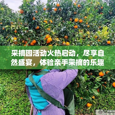 采摘园活动火热启动，尽享自然盛宴，体验亲手采摘的乐趣！