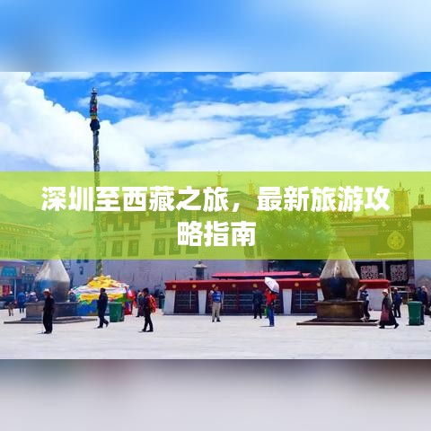 百鸟争鸣