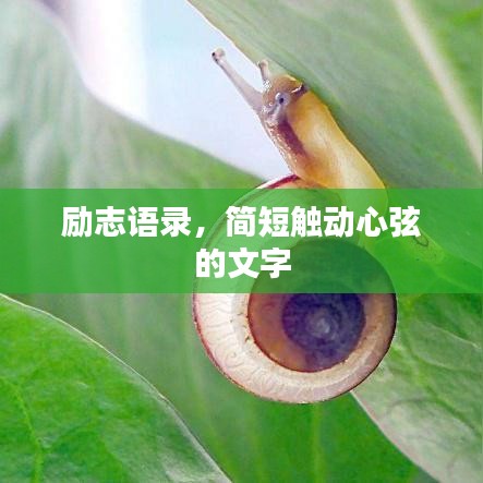 励志语录，简短触动心弦的文字