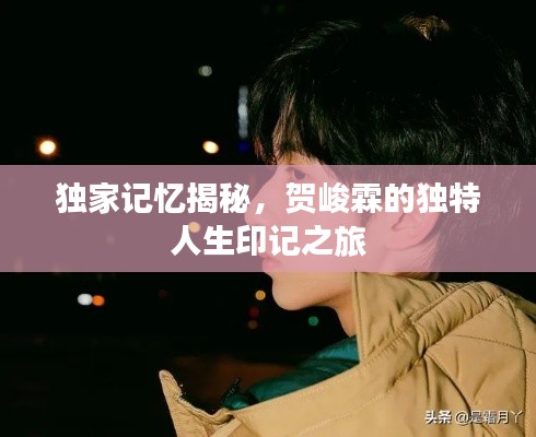 独家记忆揭秘，贺峻霖的独特人生印记之旅