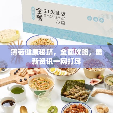 薄荷健康秘籍，全面攻略，最新资讯一网打尽