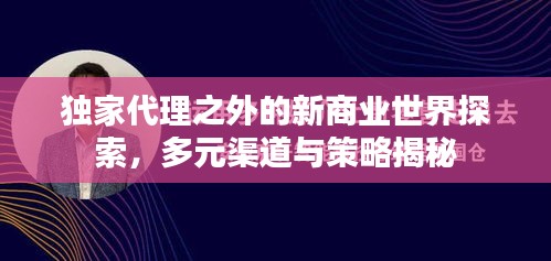 独家代理之外的新商业世界探索，多元渠道与策略揭秘