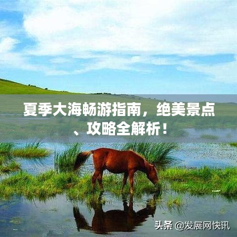 夏季大海畅游指南，绝美景点、攻略全解析！