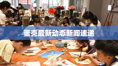 蛋壳最新动态新闻速递