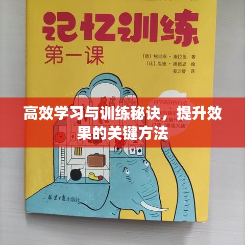 高效学习与训练秘诀，提升效果的关键方法