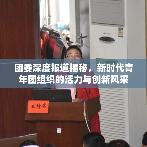 团委深度报道揭秘，新时代青年团组织的活力与创新风采