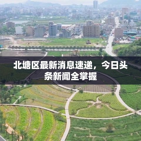 北塘区最新消息速递，今日头条新闻全掌握