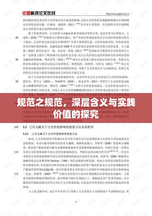 规范之规范，深层含义与实践价值的探究