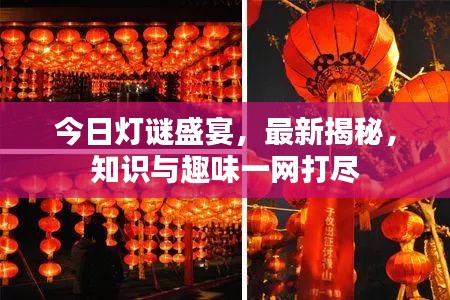 今日灯谜盛宴，最新揭秘，知识与趣味一网打尽