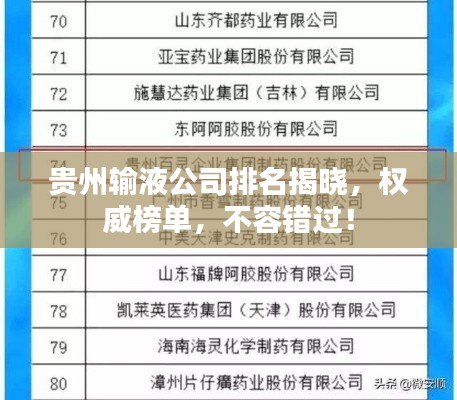 贵州输液公司排名揭晓，权威榜单，不容错过！