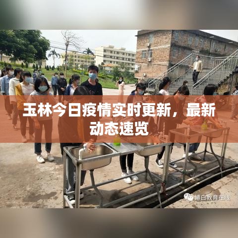 玉林今日疫情实时更新，最新动态速览