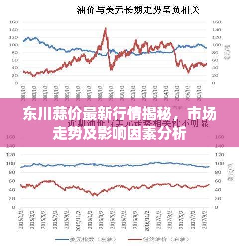 东川蒜价最新行情揭秘，市场走势及影响因素分析