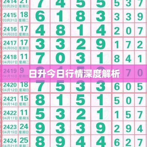 日升今日行情深度解析