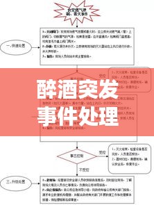 醉酒突发事件处理指南，应对策略与预防措施全解析