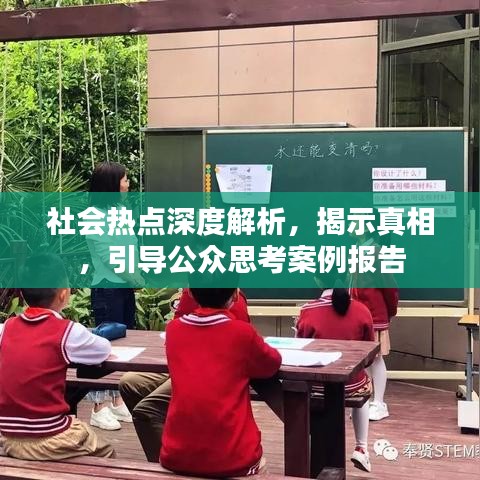 社会热点深度解析，揭示真相，引导公众思考案例报告