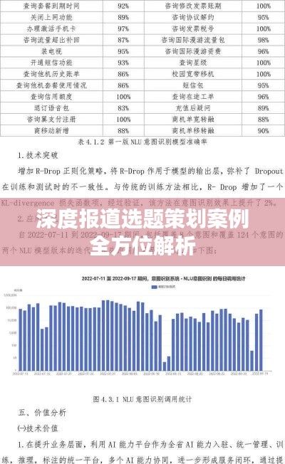 深度报道选题策划案例全方位解析