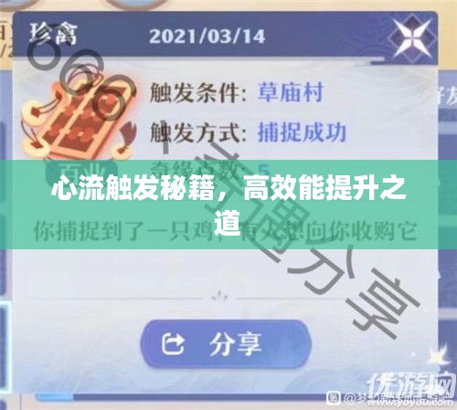 心流触发秘籍，高效能提升之道