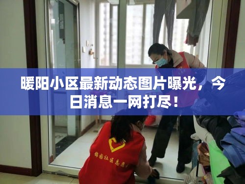 暖阳小区最新动态图片曝光，今日消息一网打尽！