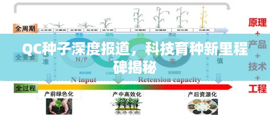 QC种子深度报道，科技育种新里程碑揭秘