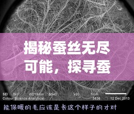 揭秘蚕丝无尽可能，探寻蚕丝之魅力与长度极限