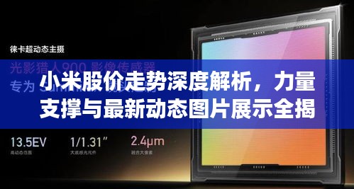 小米股价走势深度解析，力量支撑与最新动态图片展示全揭秘