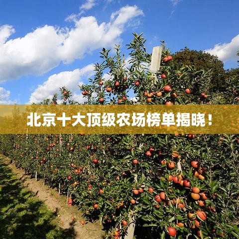 北京十大顶级农场榜单揭晓！