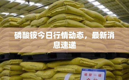 磷酸铵今日行情动态，最新消息速递