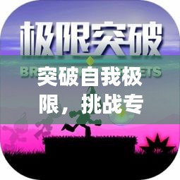 突破自我极限，挑战专题通关，能力飞跃成长之路