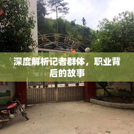 深度解析记者群体，职业背后的故事