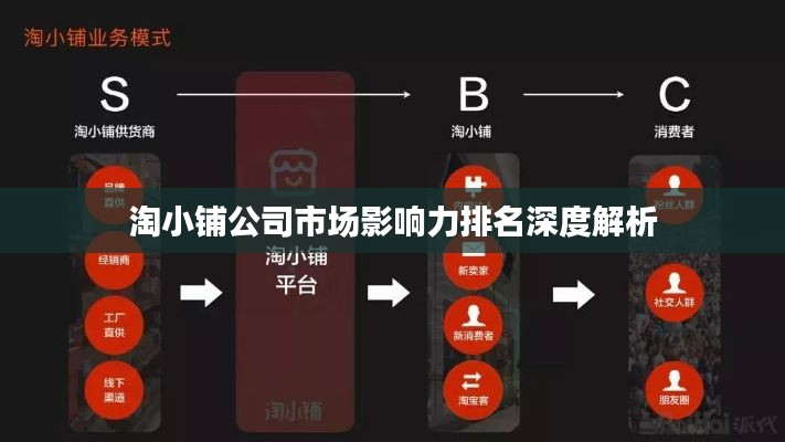 淘小铺公司市场影响力排名深度解析