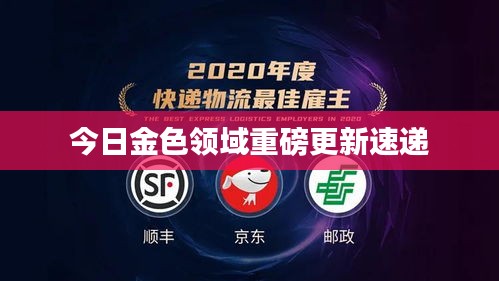 今日金色领域重磅更新速递