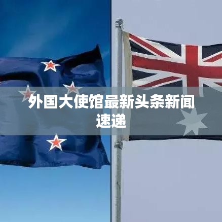 外国大使馆最新头条新闻速递