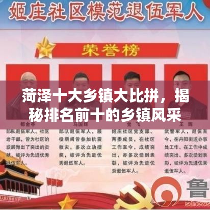 菏泽十大乡镇大比拼，揭秘排名前十的乡镇风采