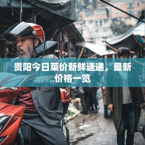 贵阳今日菜价新鲜速递，最新价格一览
