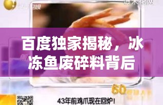 百度独家揭秘，冰冻鱼废碎料背后的惊人奥秘！