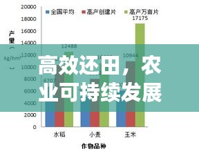 高效还田，农业可持续发展的核心策略