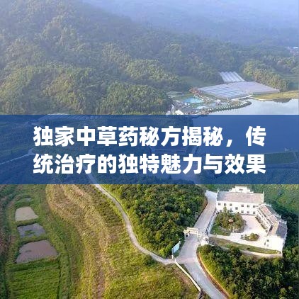 独家中草药秘方揭秘，传统治疗的独特魅力与效果显著！
