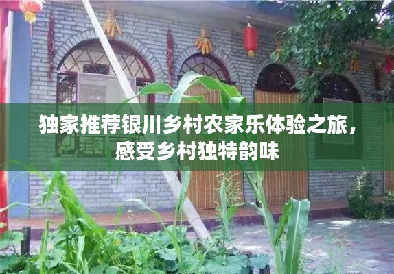 独家推荐银川乡村农家乐体验之旅，感受乡村独特韵味
