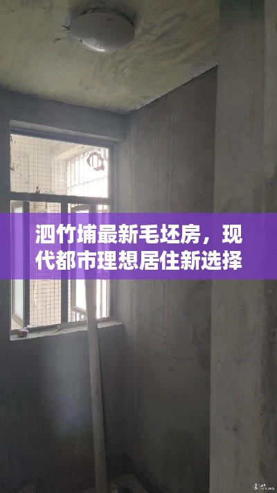 泗竹埔最新毛坯房，现代都市理想居住新选择