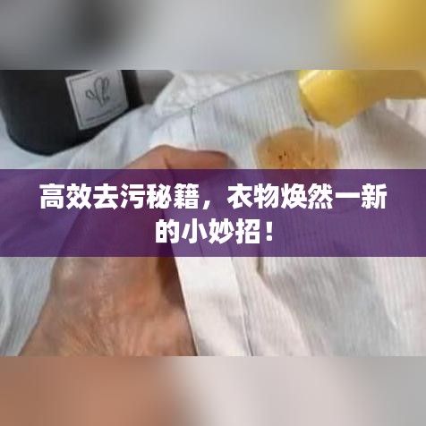 高效去污秘籍，衣物焕然一新的小妙招！