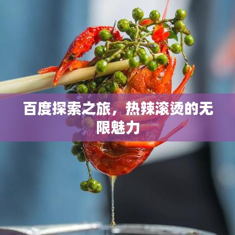 百度探索之旅，热辣滚烫的无限魅力