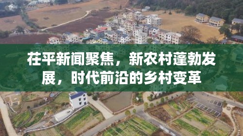 茌平新闻聚焦，新农村蓬勃发展，时代前沿的乡村变革