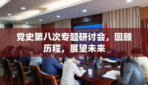 党史第八次专题研讨会，回顾历程，展望未来