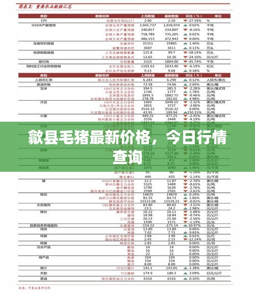 歙县毛猪最新价格，今日行情查询