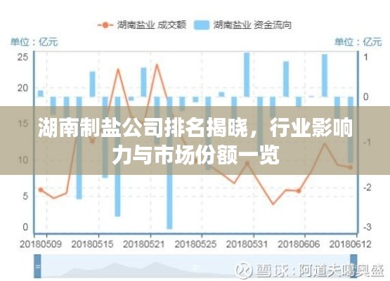 湖南制盐公司排名揭晓，行业影响力与市场份额一览