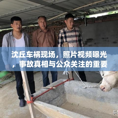 沈丘车祸现场，照片视频曝光，事故真相与公众关注的重要性