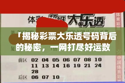 「揭秘彩票大乐透号码背后的秘密，一网打尽好运数字！」