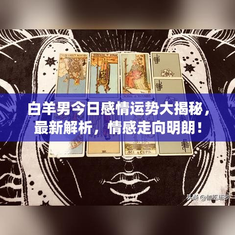 白羊男今日感情运势大揭秘，最新解析，情感走向明朗！