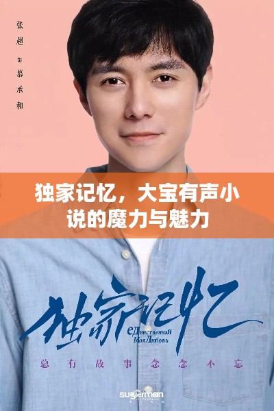 独家记忆，大宝有声小说的魔力与魅力